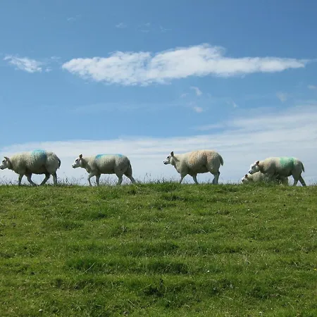 Kaapstraat * De Koog (Texel)